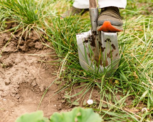 garten-arbeiten garten-arbeiten